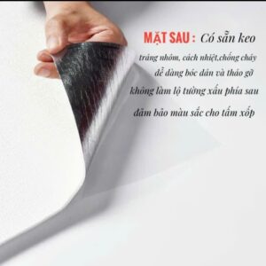 z6540763923384 01f3cb192757e41a7e8992b32c1821c6